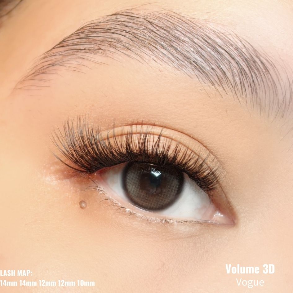 Volume 3D Pre-cut Lash Tray - Vogue