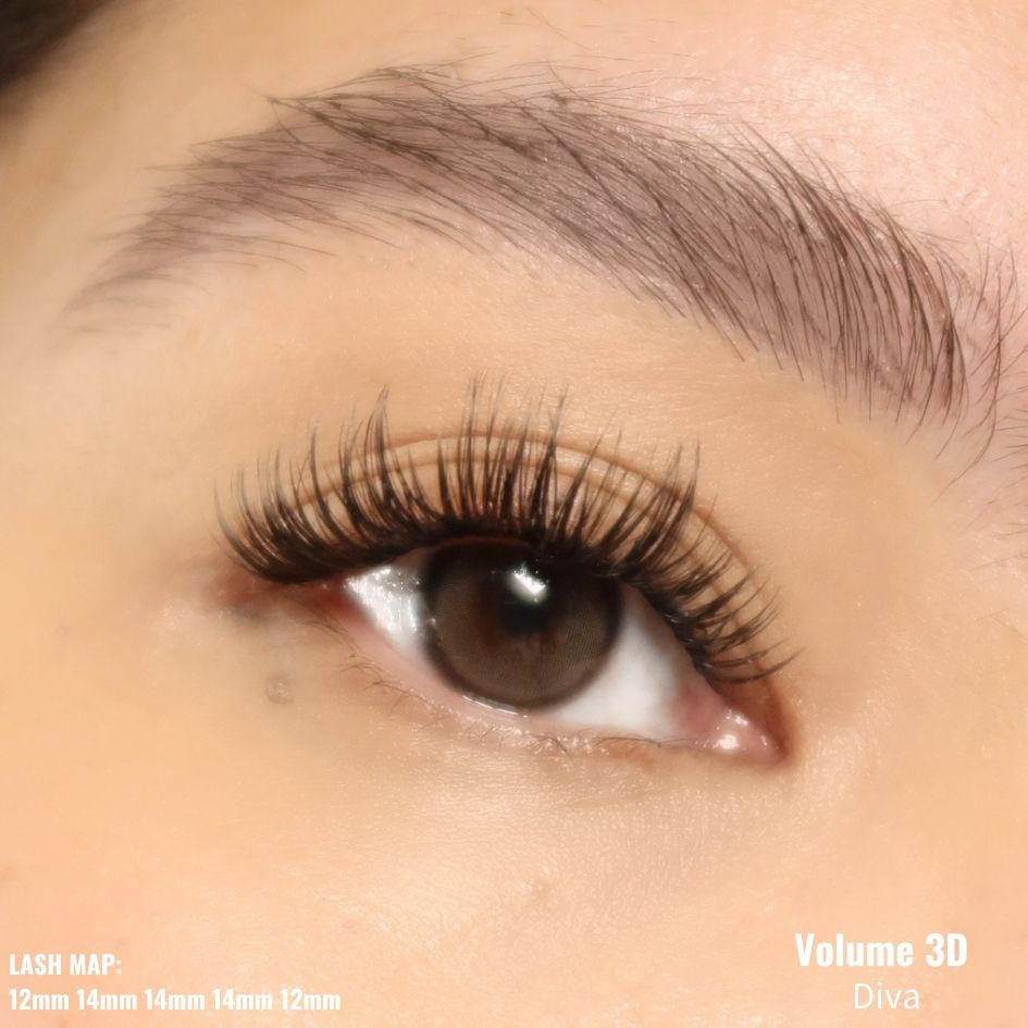 Volume 3D Pre-cut Lash Tray - Diva