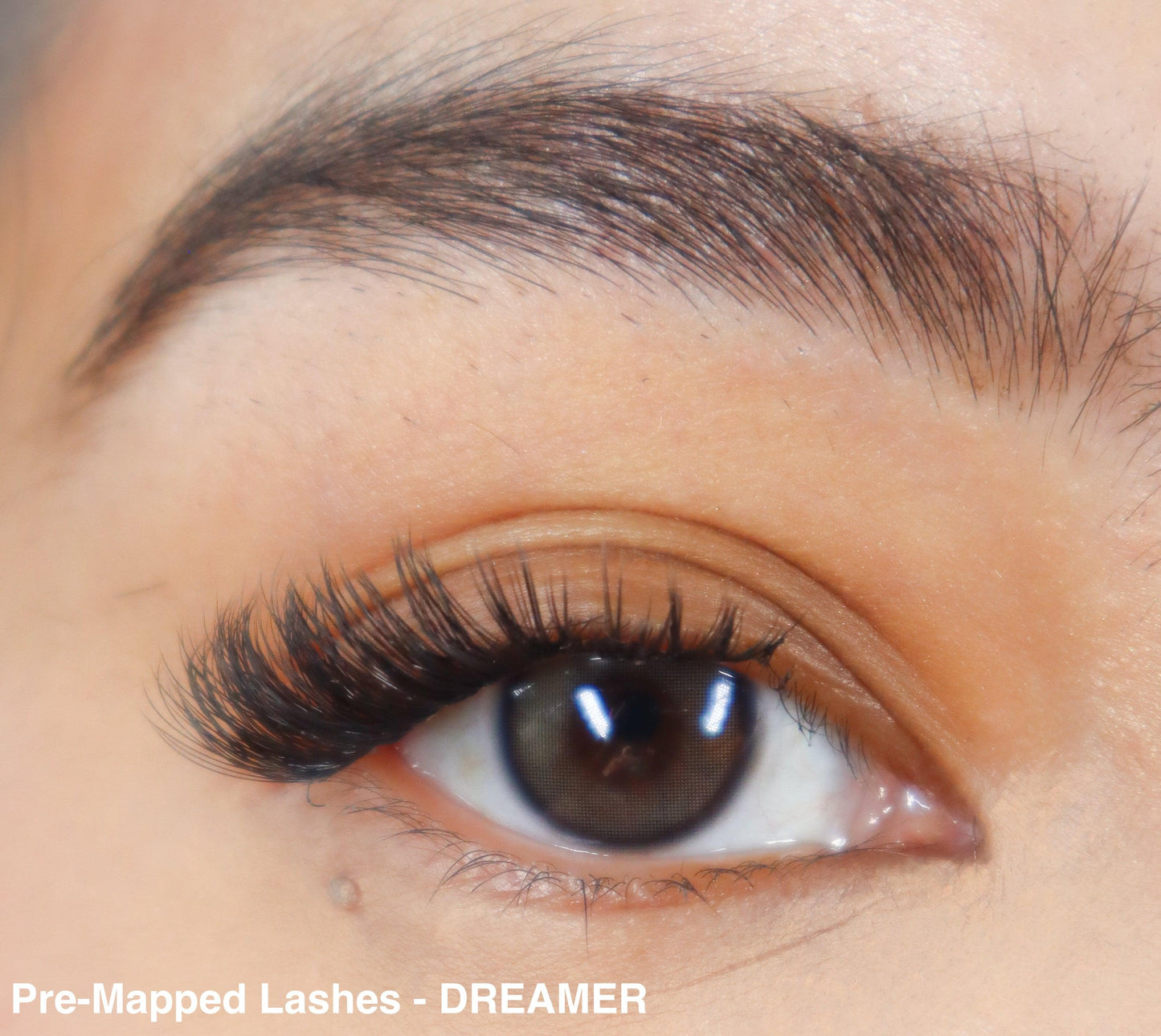 Pre-mapped Lashes - Dreamer