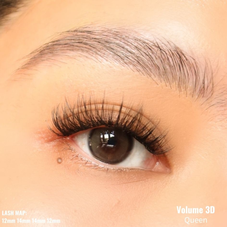 Volume 3D Pre-cut Lash Tray - Queen