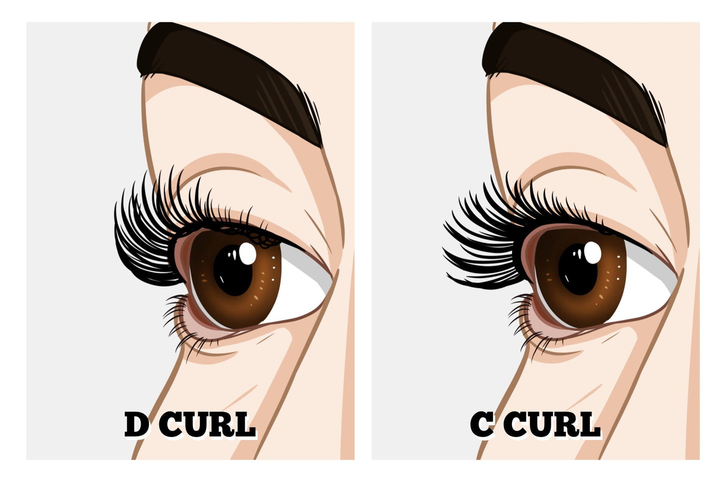 Volume 3D Pre-cut Lash Tray - Queen