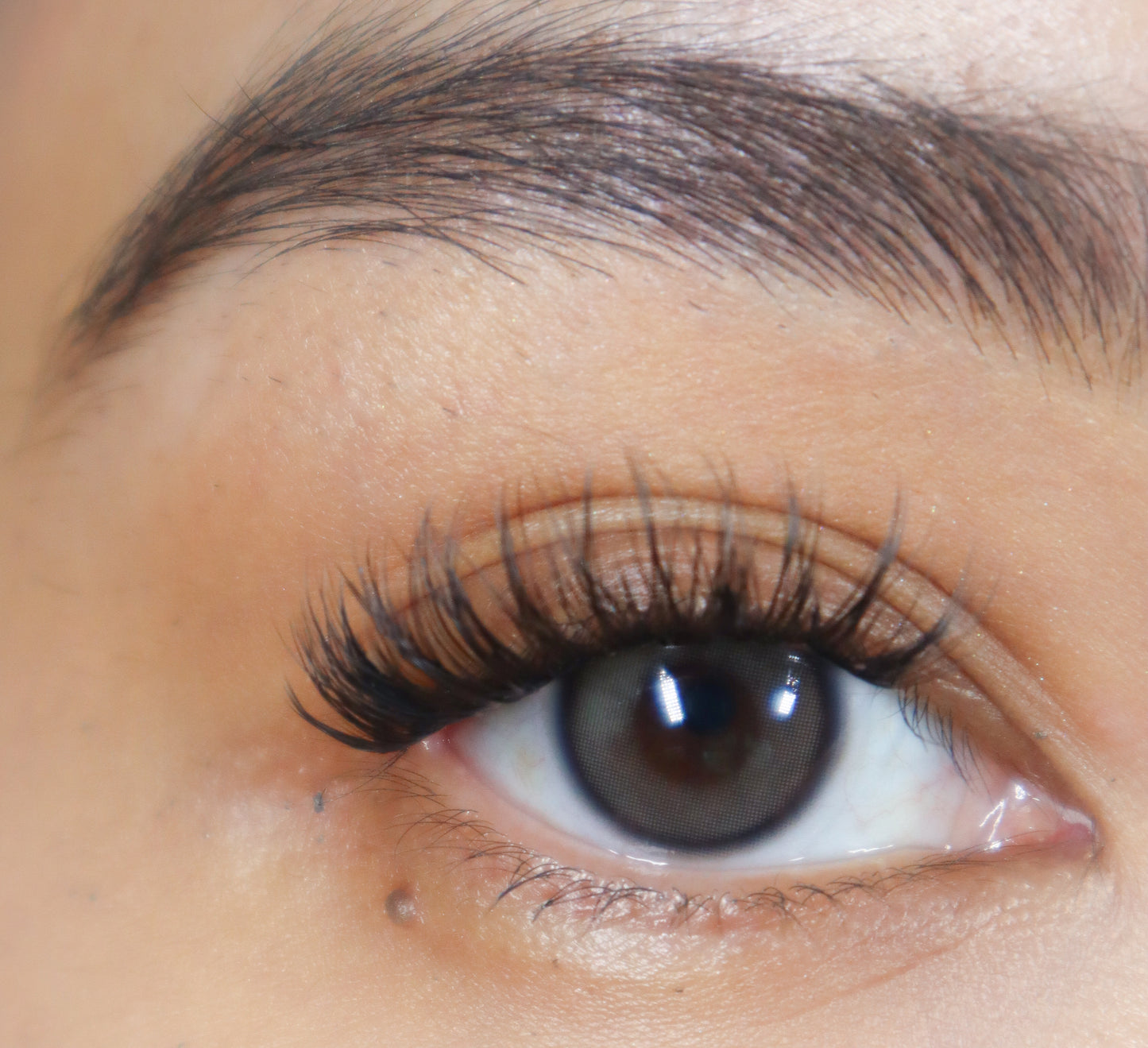 Pre-mapped Lashes - Hi-So