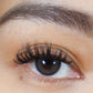 Pre-mapped Lashes -Superstar