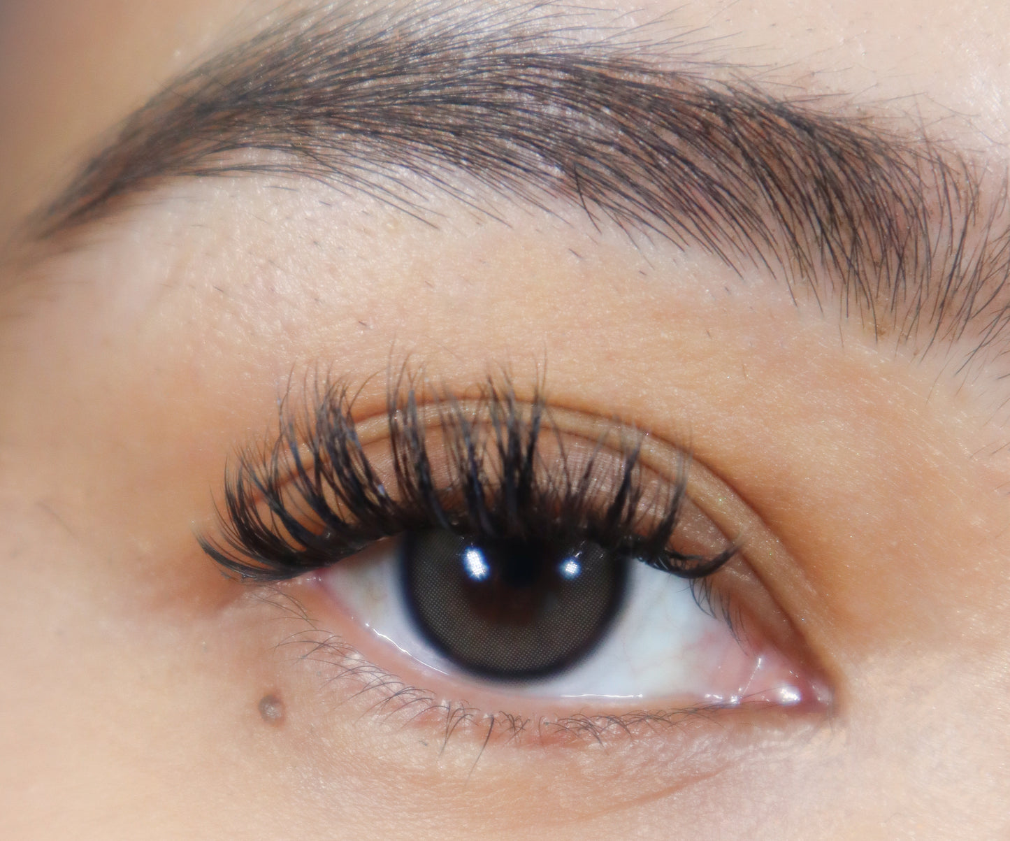 Pre-mapped Lashes -Superstar